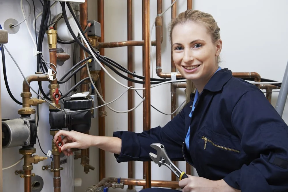 Professional plumber